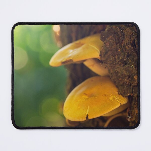 Item preview, Mushrooms on a tree trunk designed and sold by BBPGallery.