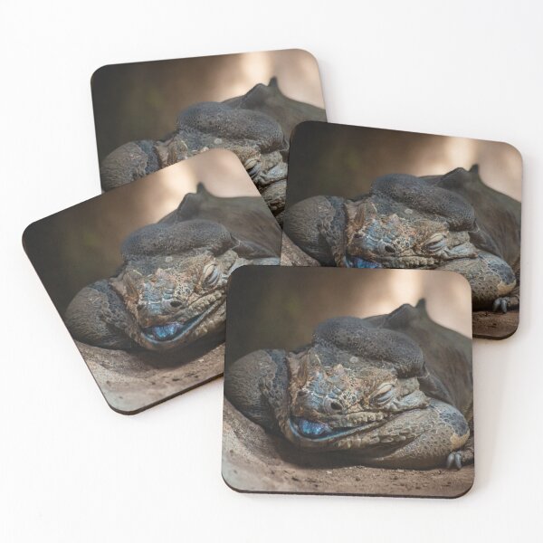 Item preview, The colossus | Rhinoceros iguana designed and sold by BBPGallery.