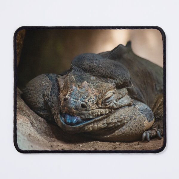 Item preview, The colossus | Rhinoceros iguana designed and sold by BBPGallery.