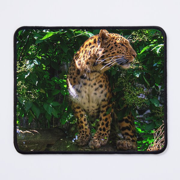 Item preview, Amur Leopard designed and sold by tomg.
