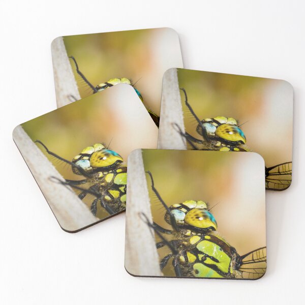 Item preview, After a long flight | dragon-fly designed and sold by BBPGallery.