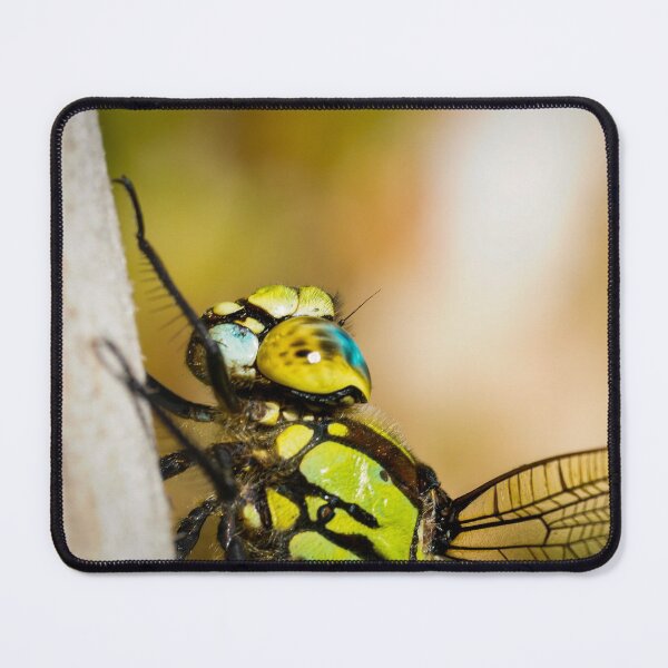 Item preview, After a long flight | dragon-fly designed and sold by BBPGallery.