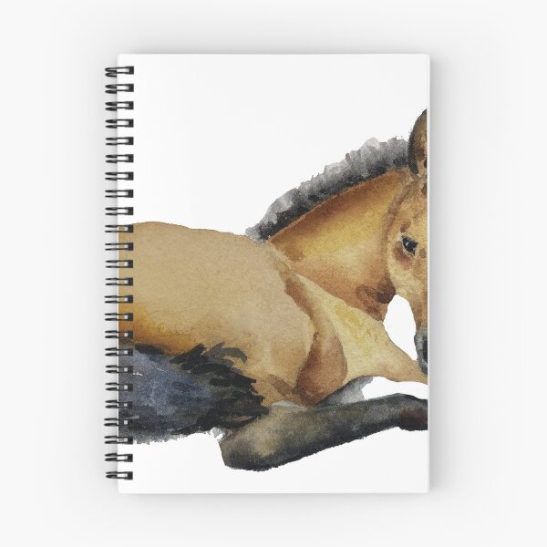 Item preview, Buckskin Foal designed and sold by Lisa Lindeman.