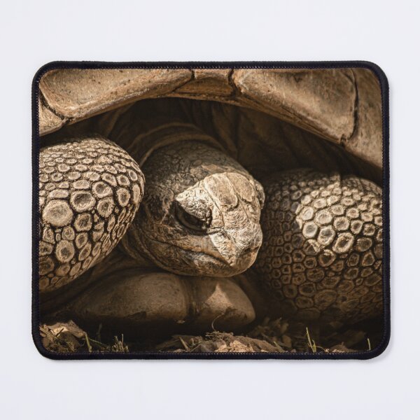 Item preview, The tank designed and sold by BBPGallery.