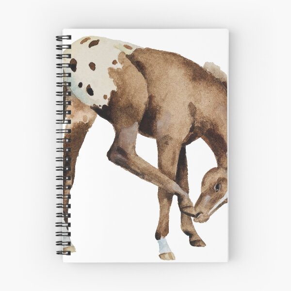 Item preview, Appaloosa Foal designed and sold by Lisa Lindeman.