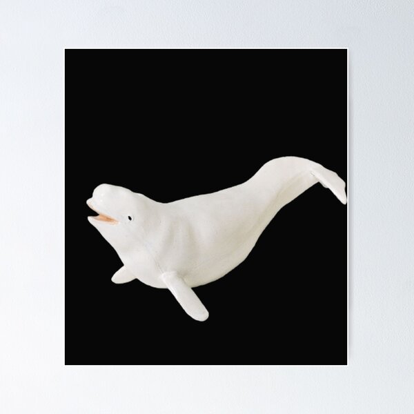 Beluga Cat Premium Matte Vertical Poster sold by Korean Trey Orange | SKU  41853682 | Printerval