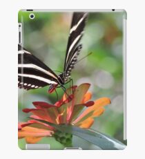 Butterfly Macro iPad Case/Skin