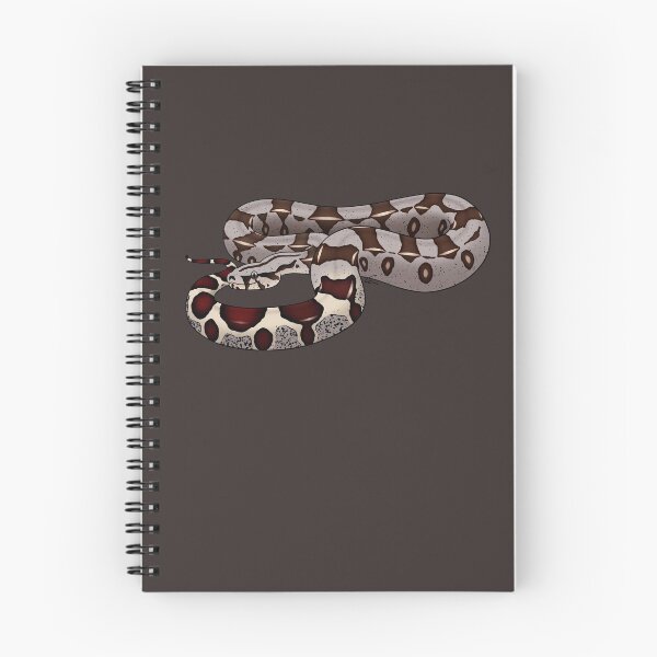 Item preview, Red-tailed Boa or Boa Constrictor Constrictor - BCC designed and sold by anacecilia.