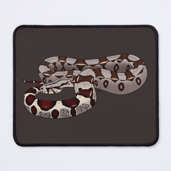Item preview, Red-tailed Boa or Boa Constrictor Constrictor - BCC designed and sold by anacecilia.