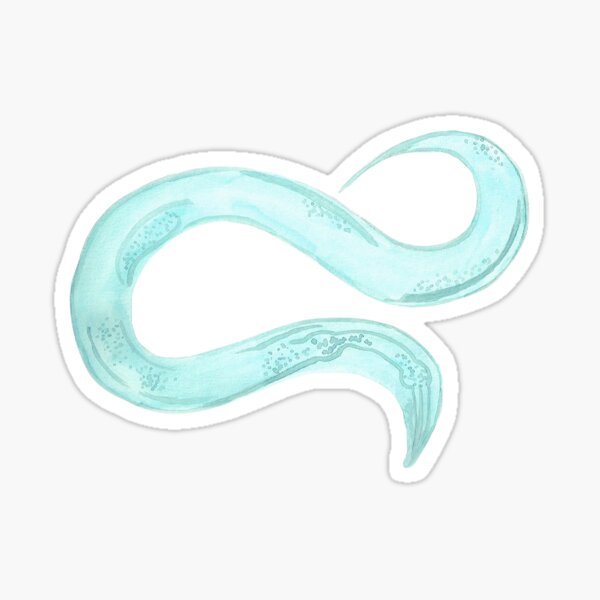 Item preview, C. elegans Nematode Worm Illustration designed and sold by ModelOrganism.