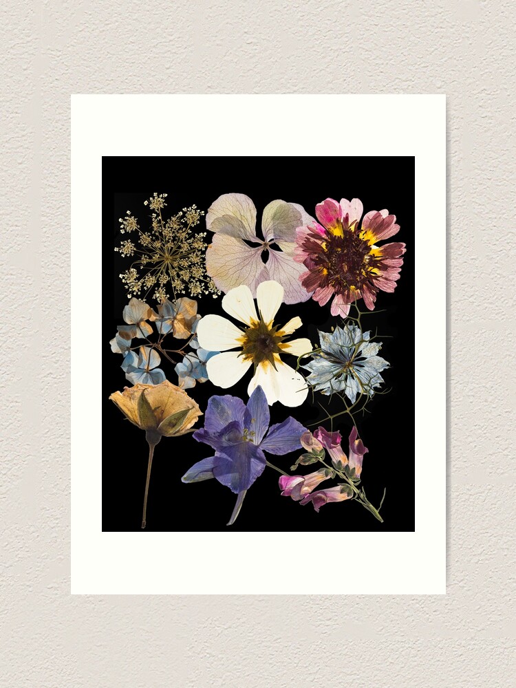 Pretty Dried Wildflowers Colorful Design Art Print for Sale by  EarthArtDesigns