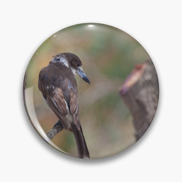 Item preview, Grey Butcherbird designed and sold by margotk.