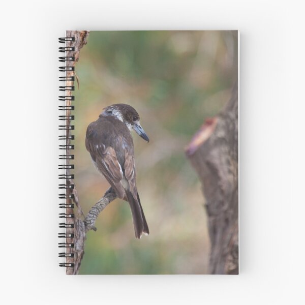 Item preview, Grey Butcherbird designed and sold by margotk.