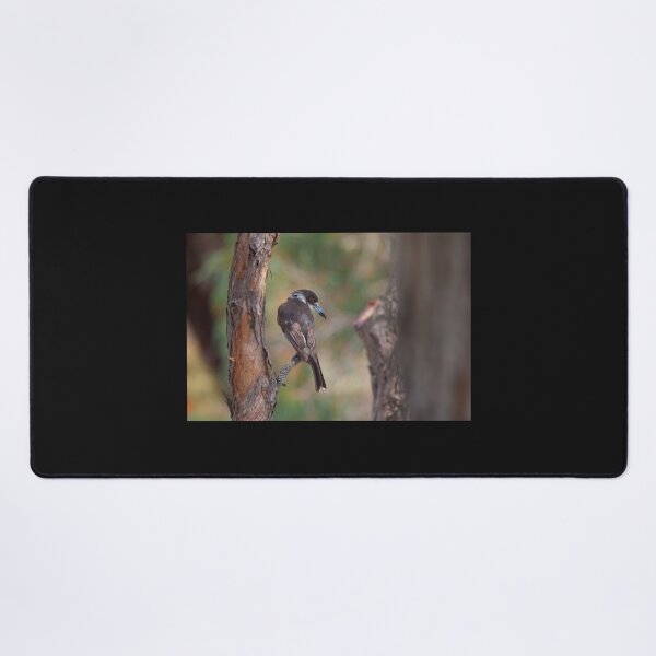 Item preview, Grey Butcherbird designed and sold by margotk.
