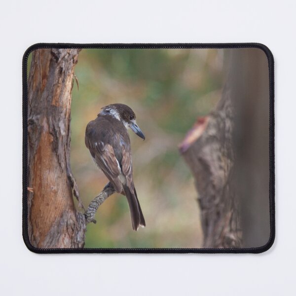 Item preview, Grey Butcherbird designed and sold by margotk.