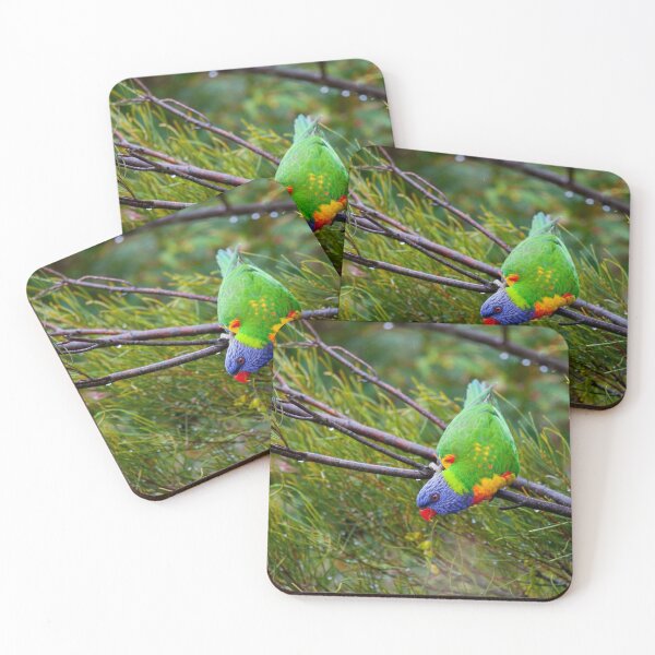 Item preview, Technicolour Lorikeet designed and sold by margotk.