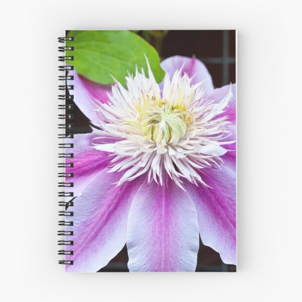 Item preview, Clematis designed and sold by margotk.