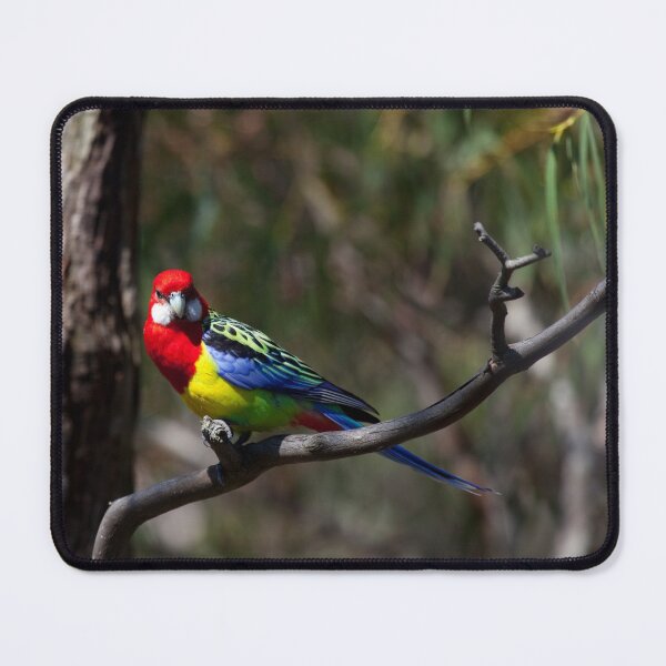 Item preview, Eastern Rosella designed and sold by margotk.