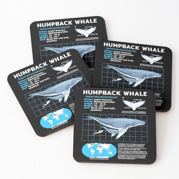 Item preview, Humpback Whale Fact Sheet designed and sold by NicGrayGraphic.