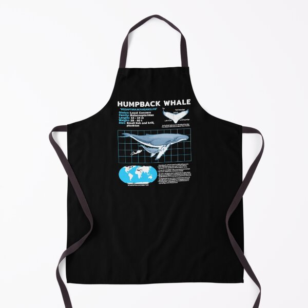 Item preview, Humpback Whale Fact Sheet designed and sold by NicGrayGraphic.