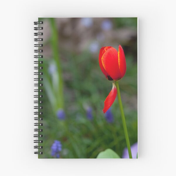 Item preview, Red Tulip designed and sold by margotk.