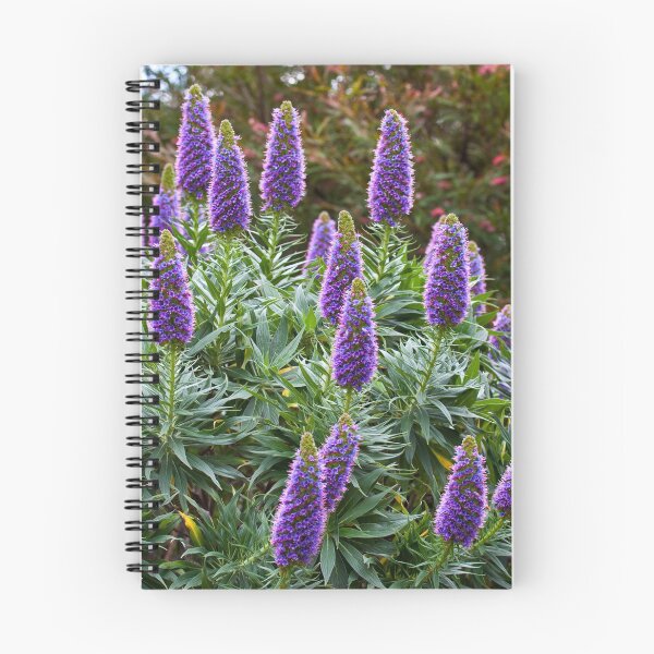 Item preview, Echium designed and sold by margotk.
