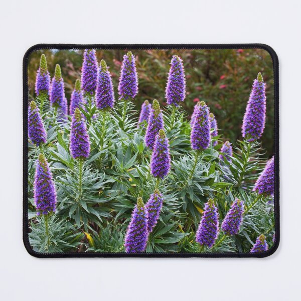 Item preview, Echium designed and sold by margotk.