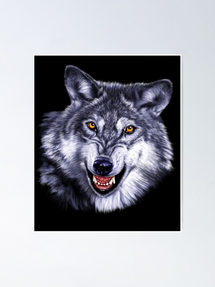 Wolf Portrait Drawing by Susan Barwell - Pixels