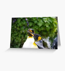 A pair of King Penguins Greeting Card
