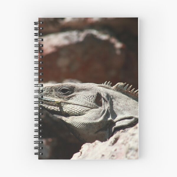 Item preview, Mayan iguana  designed and sold by zumi.