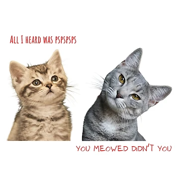 Artwork thumbnail, Meowed by SloppySkulls