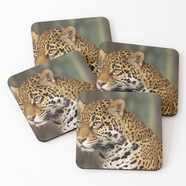Item preview, Jaguar , jaquar head shot, big cats, predators, meateater, spotted cat, cool cat, zoo designed and sold by Nostrathomas66.