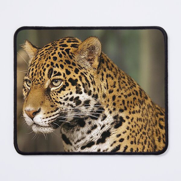 Item preview, Jaguar , jaquar head shot, big cats, predators, meateater, spotted cat, cool cat, zoo designed and sold by Nostrathomas66.