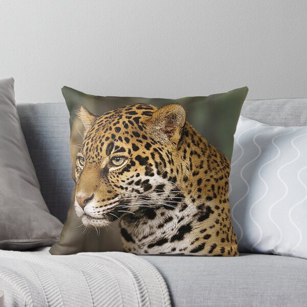 Item preview, Jaguar , jaquar head shot, big cats, predators, meateater, spotted cat, cool cat, zoo designed and sold by Nostrathomas66.