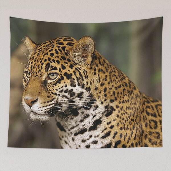 Item preview, Jaguar , jaquar head shot, big cats, predators, meateater, spotted cat, cool cat, zoo designed and sold by Nostrathomas66.