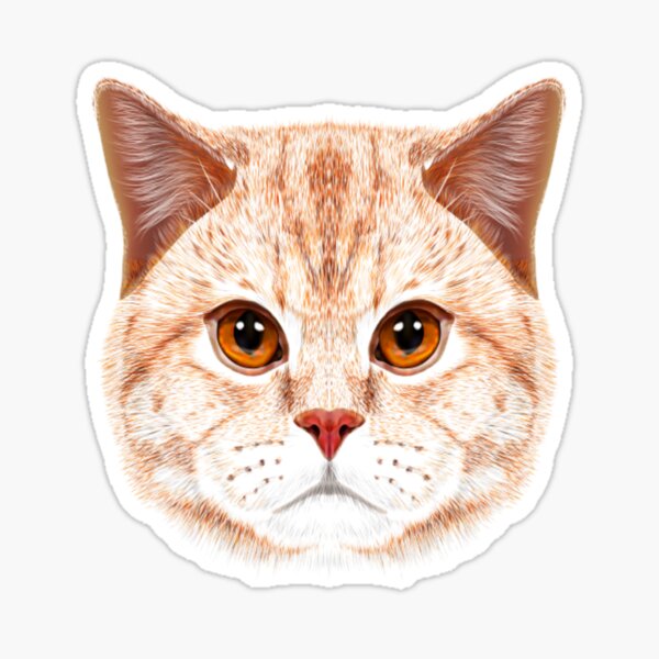 Beluga Cat Sticker for Sale by Nagjin in 2023