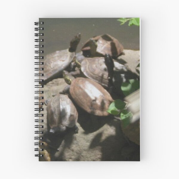 Item preview, Turtle Pile on rocks designed and sold by MiaRose85.