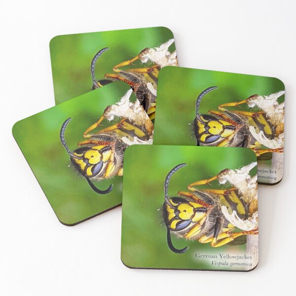 Item preview, German Yellowjacket, Vespula germanica designed and sold by BugNews.