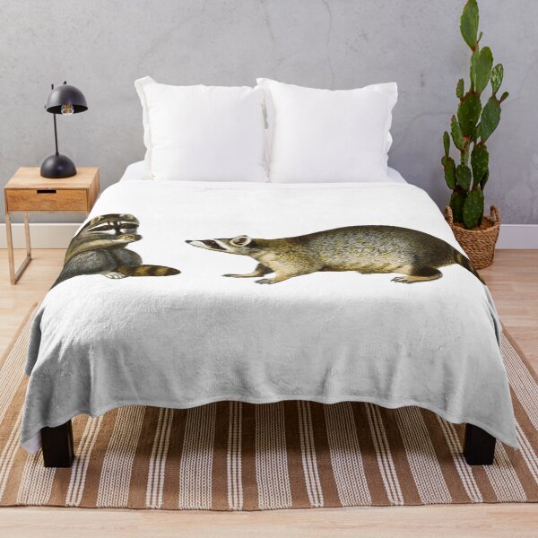 Item preview, Raccoon Vintage Illustration by Charles Dessalines D' Orbigny designed and sold by Happy-Trails.