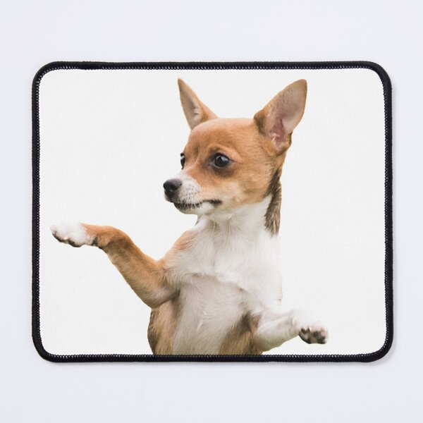 Item preview, cute dancing chihuahua designed and sold by bero4.
