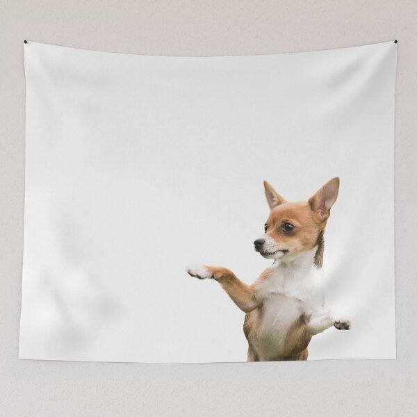Item preview, cute dancing chihuahua designed and sold by bero4.