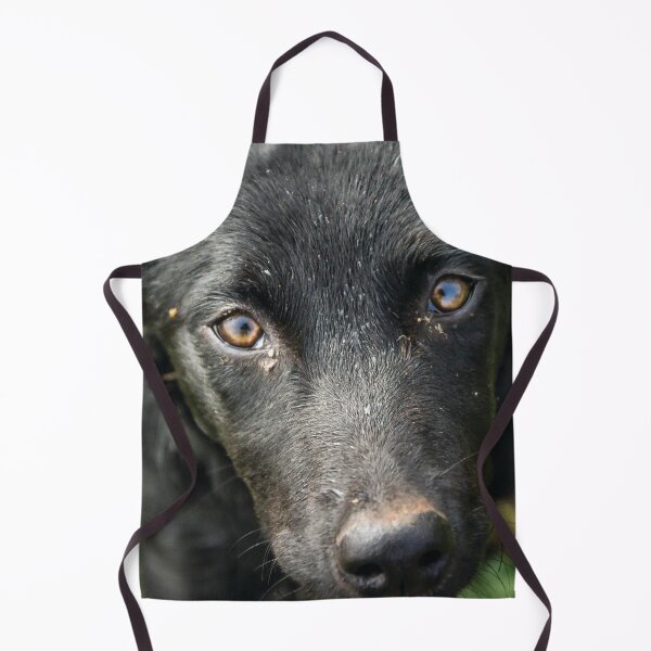 Item preview, Jet designed and sold by Candice O'Neill.