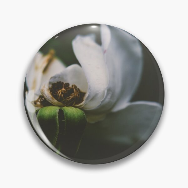 Item preview, Age before Beauty designed and sold by Candice O'Neill.