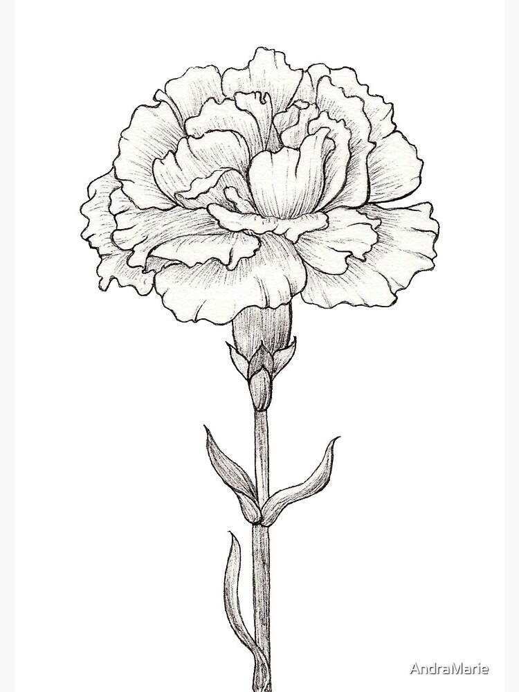 Carnation Flower Done in Ink.  Spiral Notebook for Sale by AndraMarie