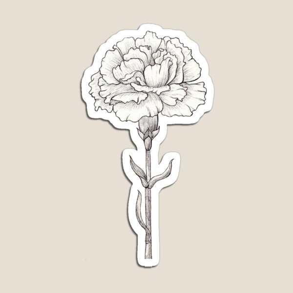 Carnation Flower Done in Ink.  Art Print for Sale by AndraMarie