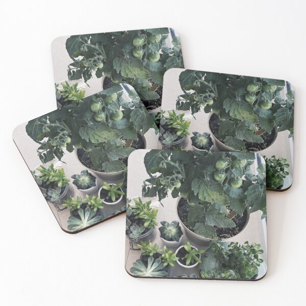 Item preview, Plant mom starter pack  designed and sold by omittleman.