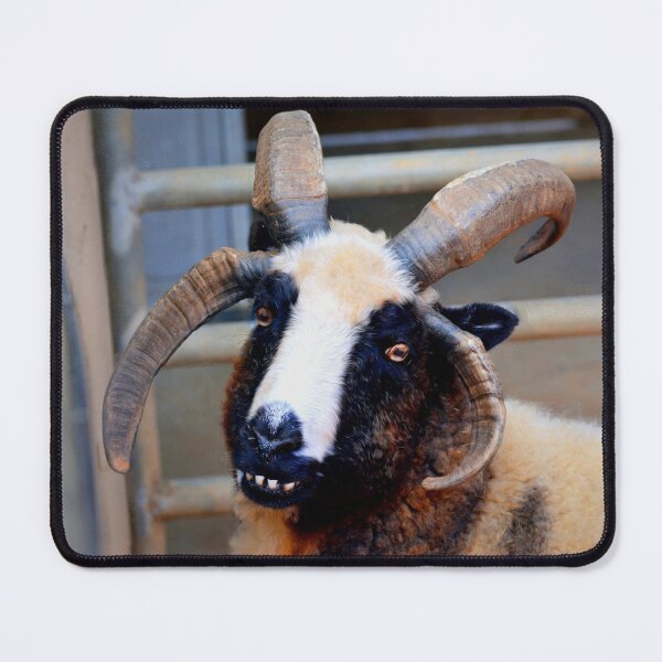Item preview, Jacob Sheep designed and sold by Savannah Gibbs.