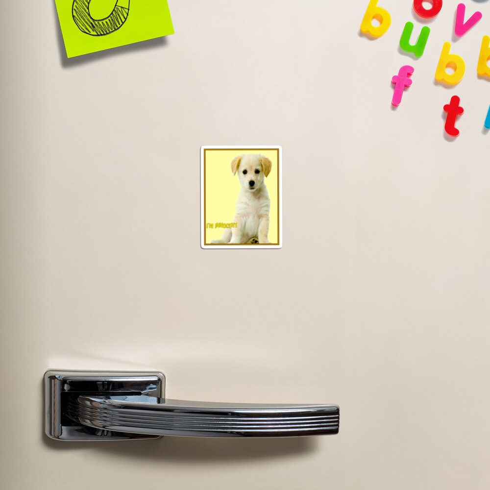 Item preview, Magnet designed and sold by posterbobs.