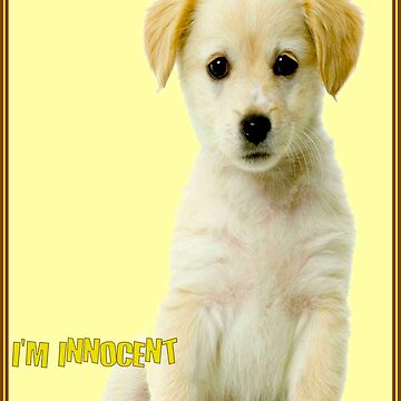 Artwork thumbnail, DOGS; I'm Innocent Poster Print by posterbobs