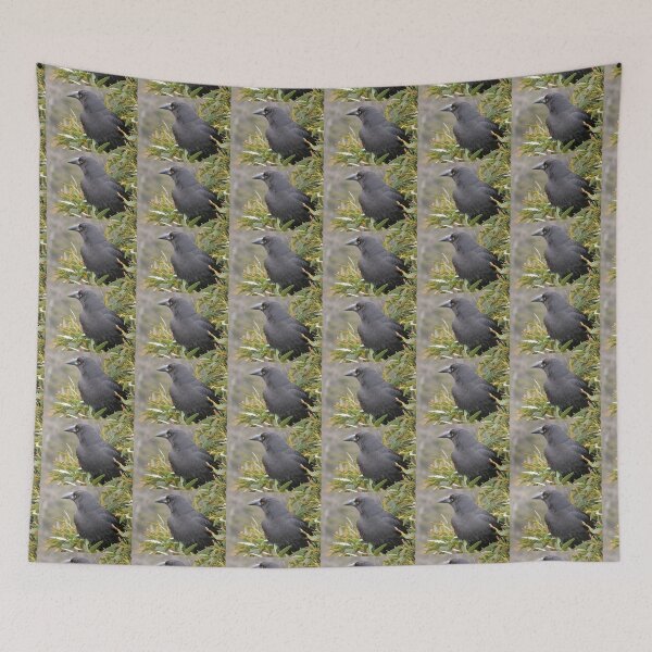 Item preview, Currawong  in a Gum Tree, Cradle Mountain, Tasmania, Australia. designed and sold by kaysharp.